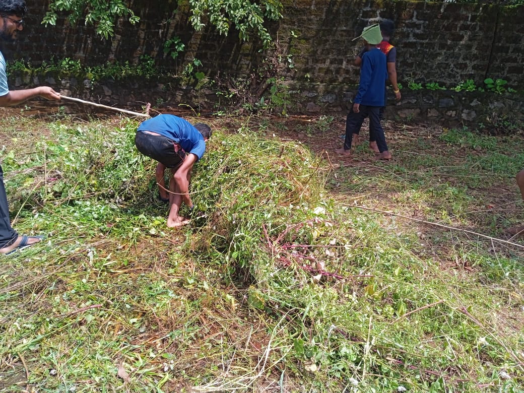 Livelihood training